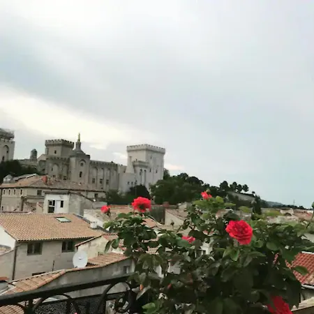 Magnifique De Charme Avec Vue Sur Le Palais Des Papes A Wifi Gratuit Avignon